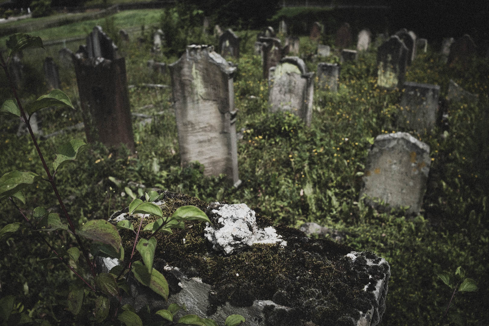 Spangenberg, Jüdischer Friedhof